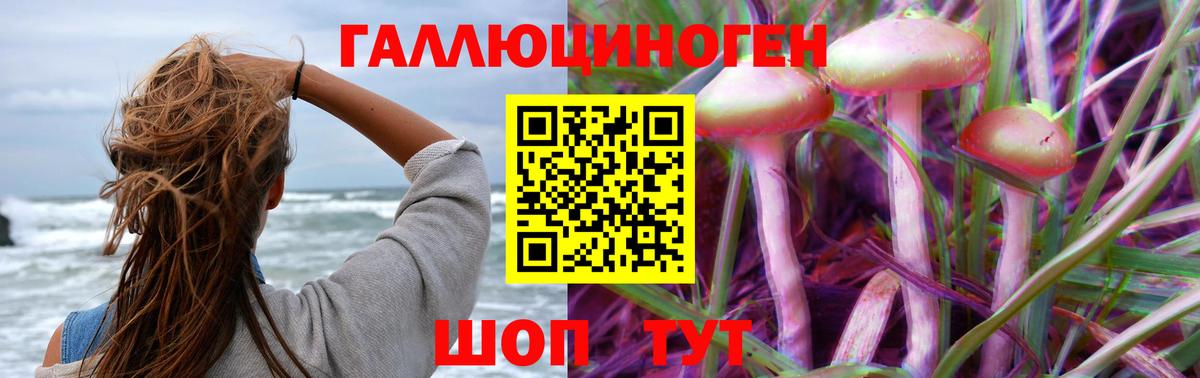 Славгород  Псилоцибиновые грибы Cubensis  Псилоцибиновые грибы MAGIC MUSHROOMS  Вход с VPN 